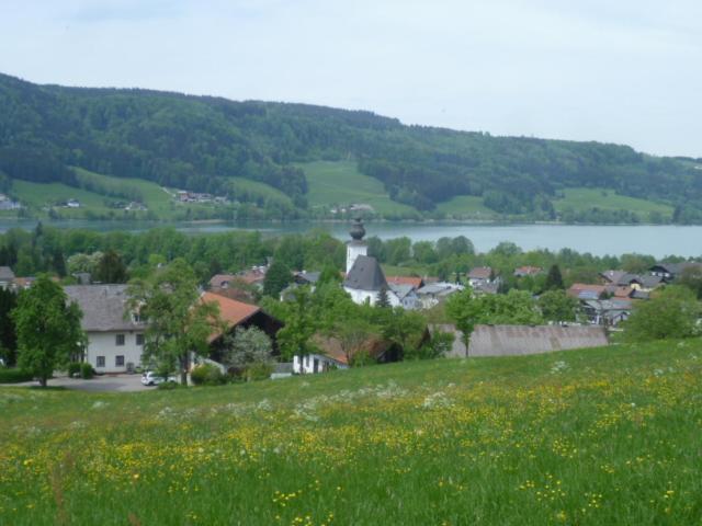 Wunderschoene Ferienwohnung Mit Seeblick Zell am Moos Extérieur photo