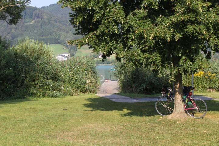 Wunderschoene Ferienwohnung Mit Seeblick Zell am Moos Extérieur photo
