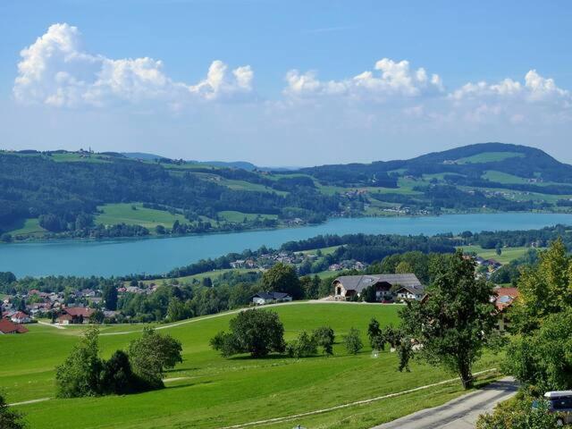 Wunderschoene Ferienwohnung Mit Seeblick Zell am Moos Extérieur photo