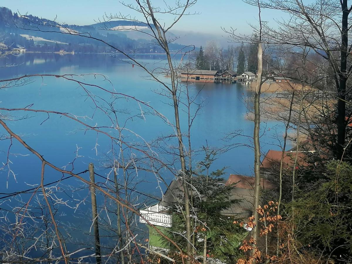Wunderschoene Ferienwohnung Mit Seeblick Zell am Moos Extérieur photo